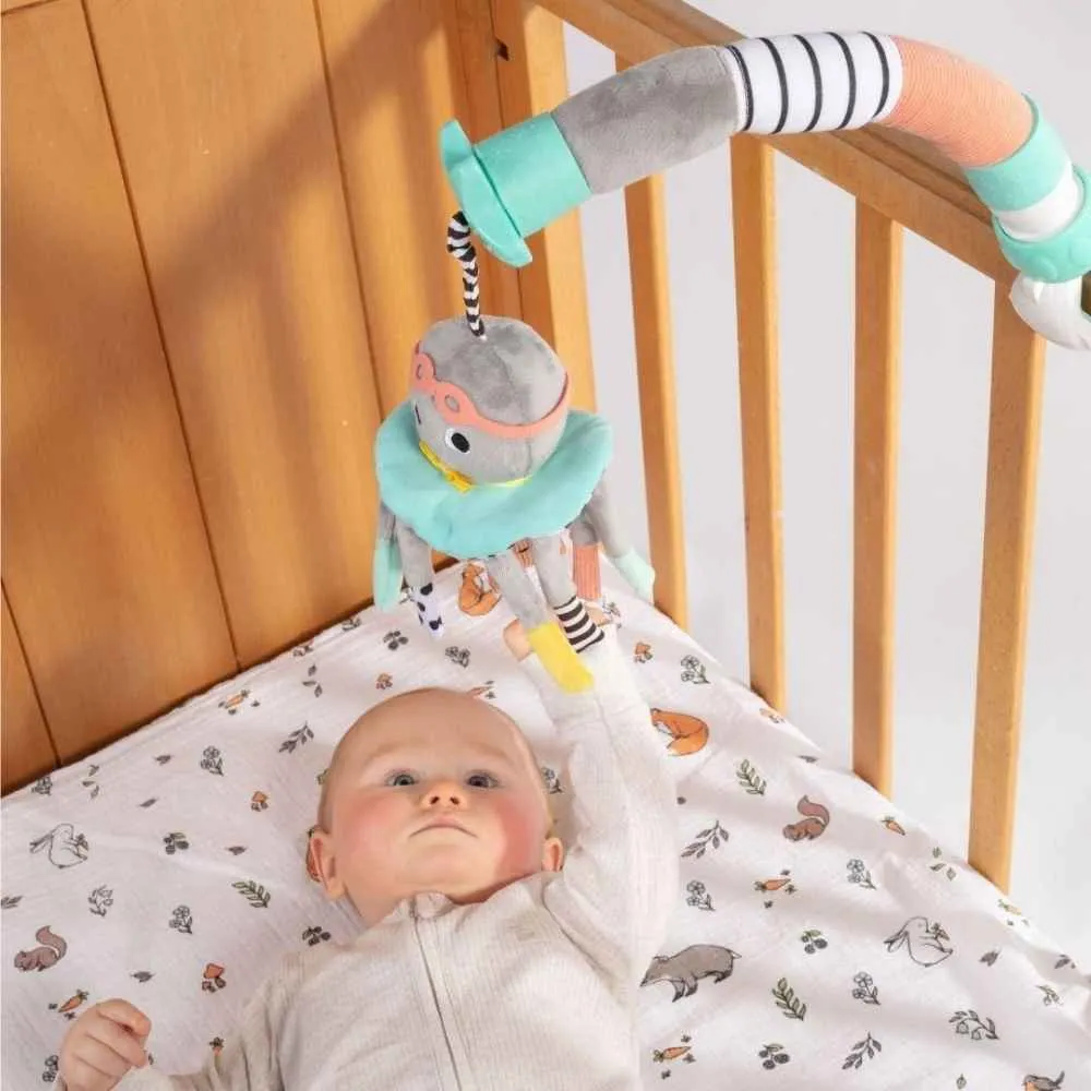 Baby Gift Set [Baby Changer, Mobile, Rattle]